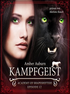 cover image of Kampfgeist, Episode 12--Fantasy-Serie
